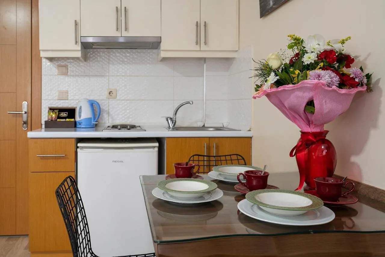 اسطنبول Taksim Asteria Apart 4*,  تركيا